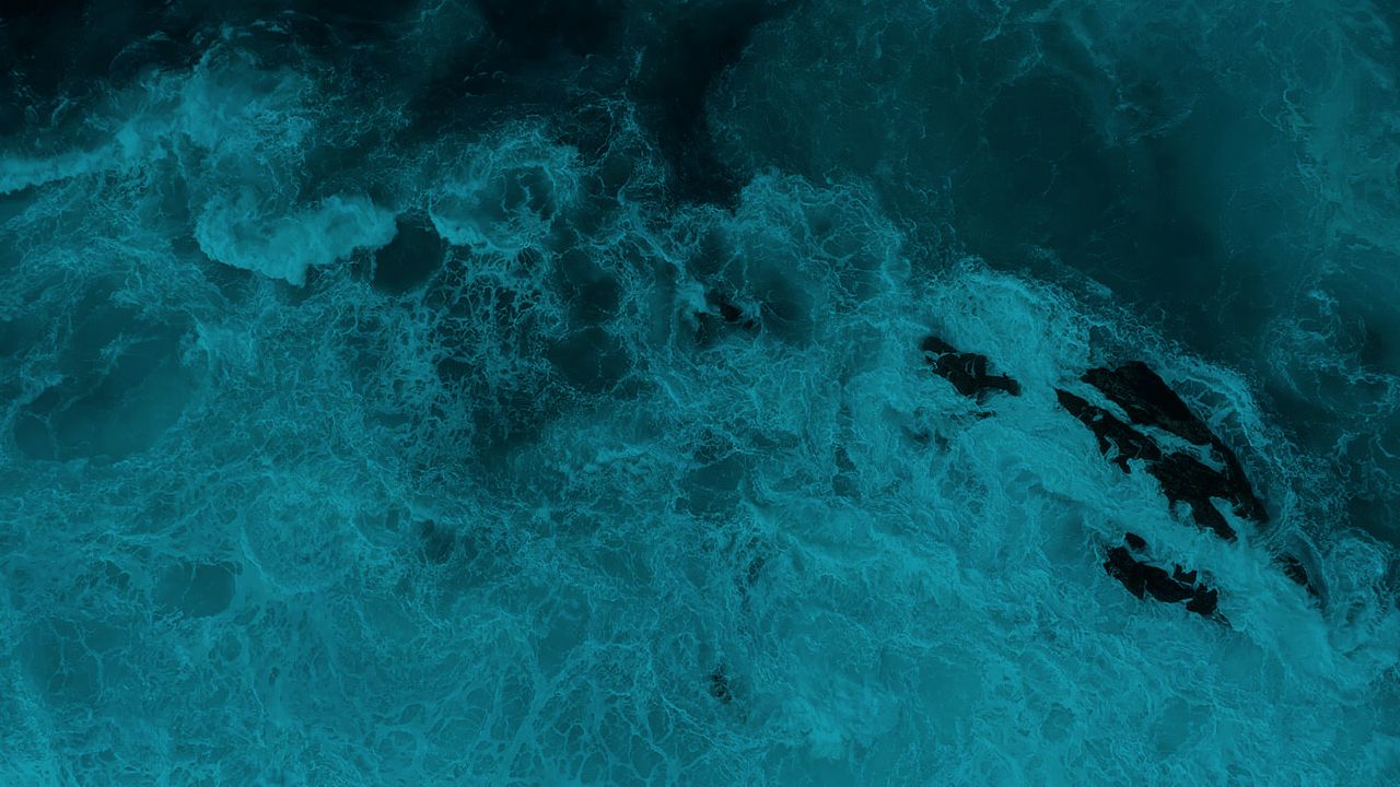 Move Forward Startseite Introvideo Cover